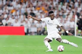 这一评价不 这一评价不